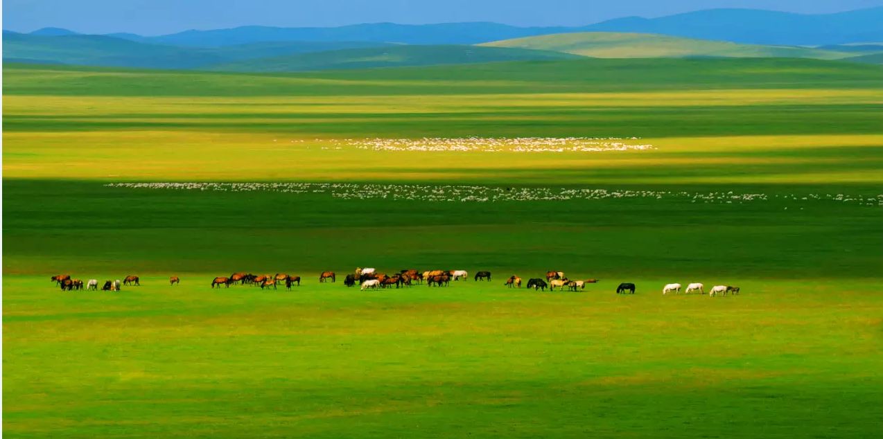 海拉尔 呼伦贝尔6日纯玩游(8人内私密小团 全程越野车 草原骑马体验
