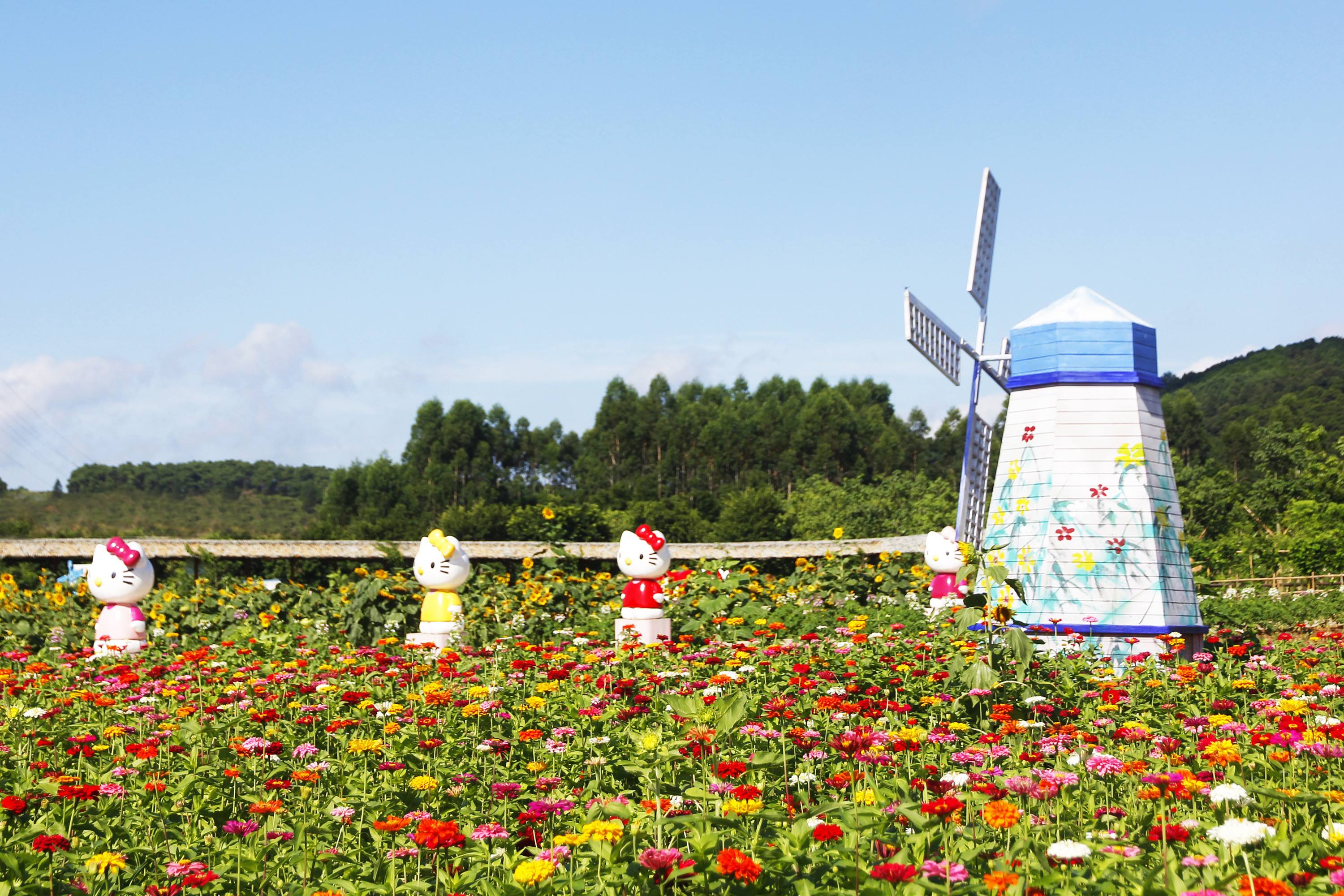 广州高明盈香生态园门票