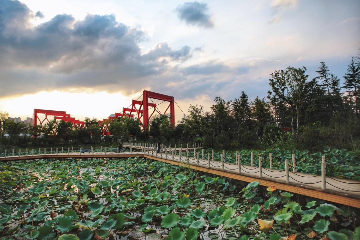 【全程0自费】哈尔滨出发江南6天5晚跟团游(华东五市 双水乡 南山竹海