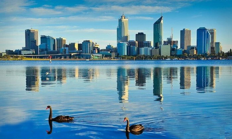 珀斯市中心著名景点天鹅河伊丽莎白港快艇船票