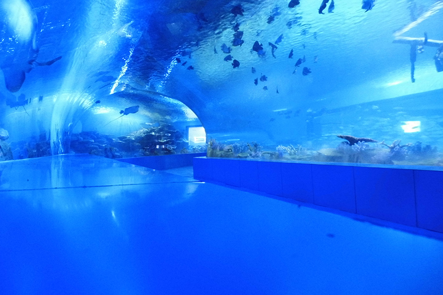 泰州溱湖海洋世界