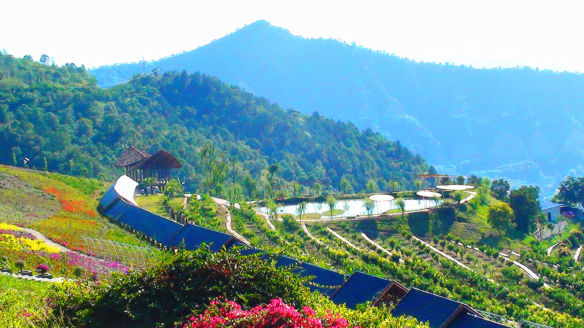 攀枝花花舞人间景区电子票攀枝花花舞人间景区欢迎您提前1天预订未用