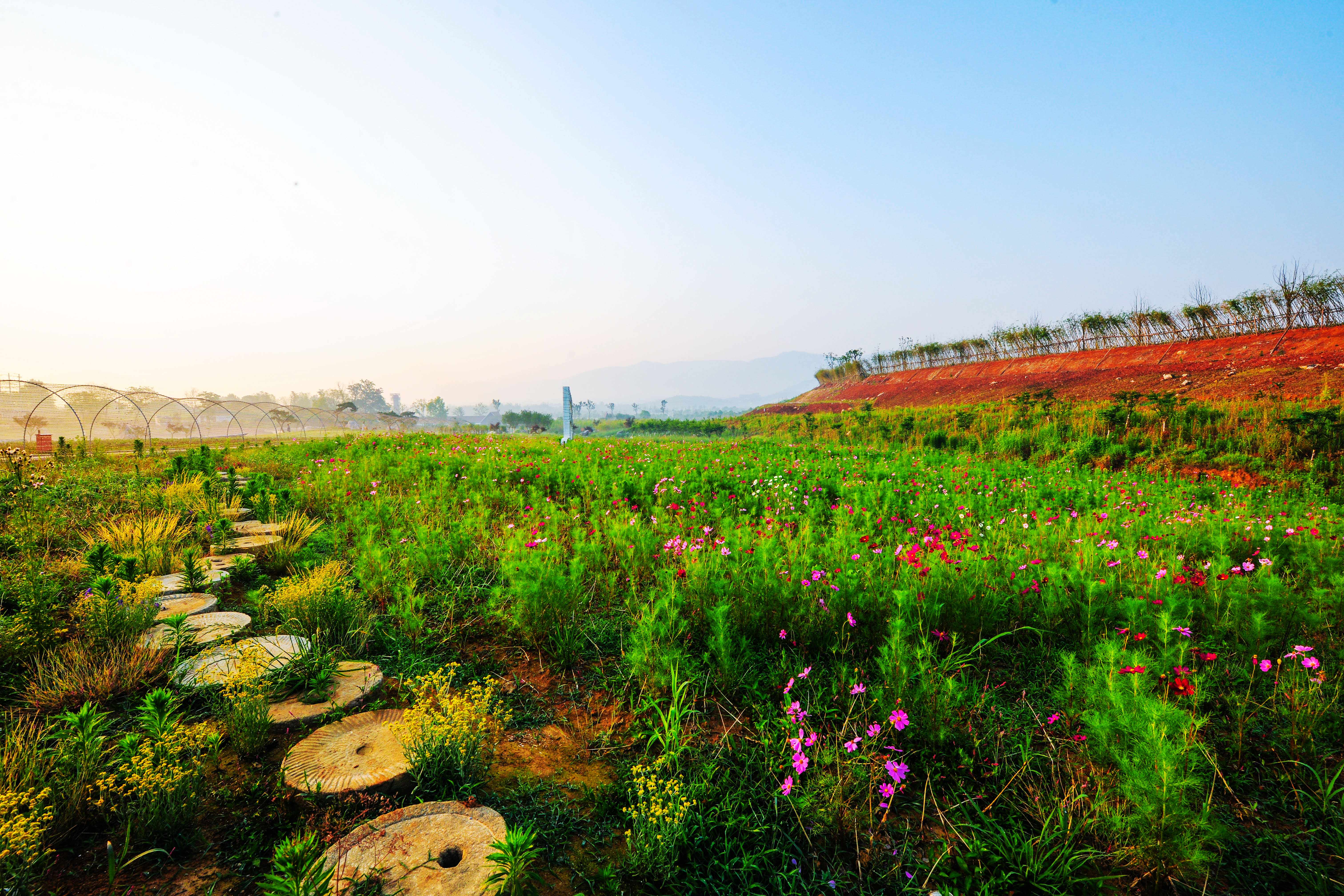 紫海薰衣草景区电子票紫海薰衣草景区欢迎您即买即用未用可退
