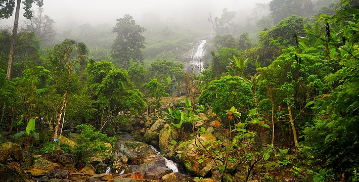琼中 百花岭风景区电子门票 取票入园(百花潭水泻千丈 夏起惊雷各奏琴