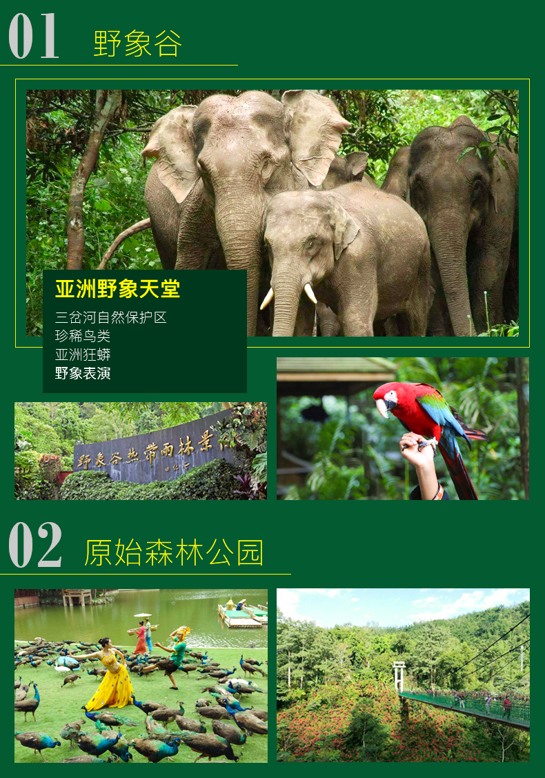 体验泼水狂欢 探秘野象谷牧象 三角湄公河快艇 大佛寺祈福 曼听公园)