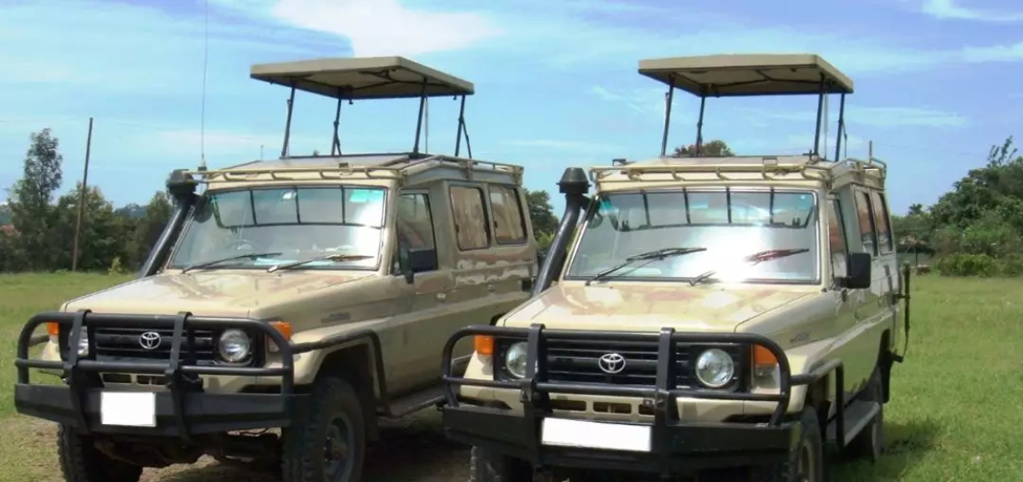 肯尼亚全程包车1日游 本地英文司机 Safari专用车 24小时中文管家服务 马蜂窝自由行 马蜂窝自由行