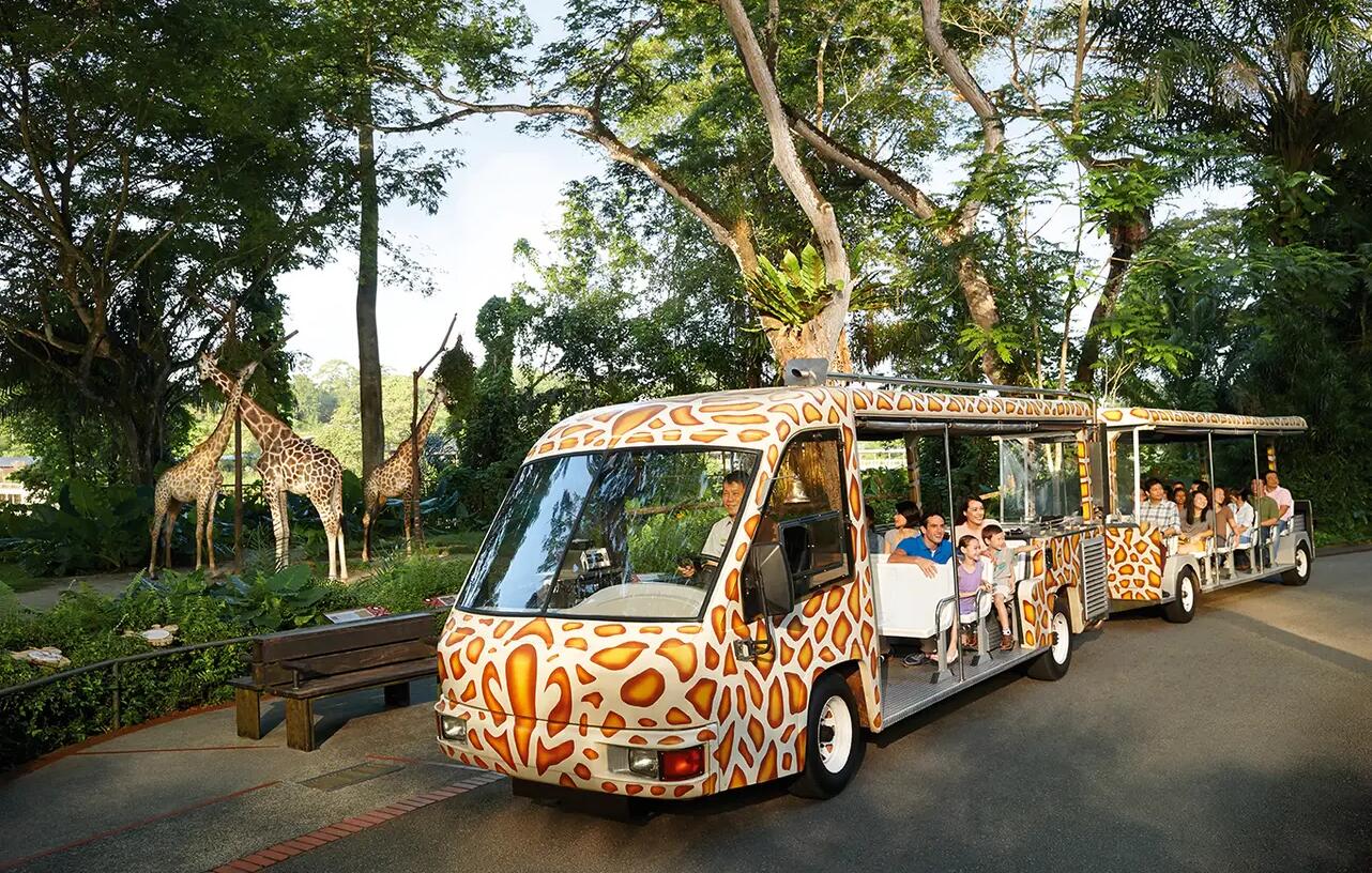 新加坡日间动物园1日电子门票(含小火车 幻光雨林之夜 动物园早餐)