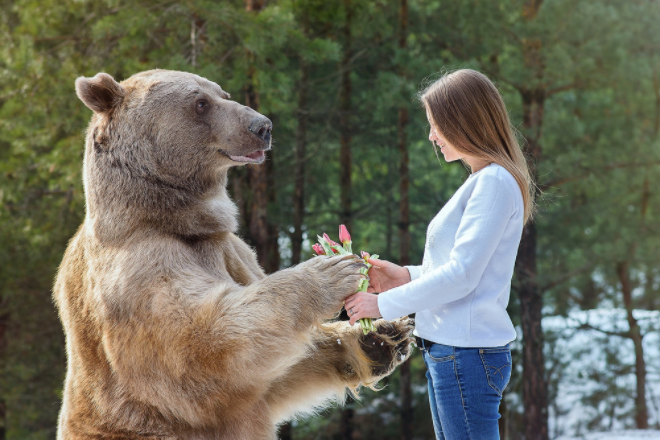 俄罗斯莫斯科网红熊特色体验vip酒店接送与网红熊亲密接触红场基本