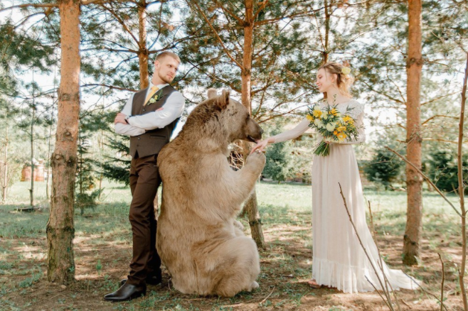 俄罗斯莫斯科网红熊特色体验vip酒店接送与网红熊亲密接触红场基本