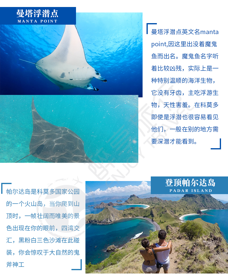 印度尼西亚科莫多快艇一日游(科莫多龙 潜水探索魔鬼鱼 登顶网红