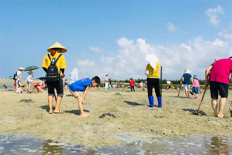 北海红树林天天赶海(工具租赁费 特色讲解服务费)
