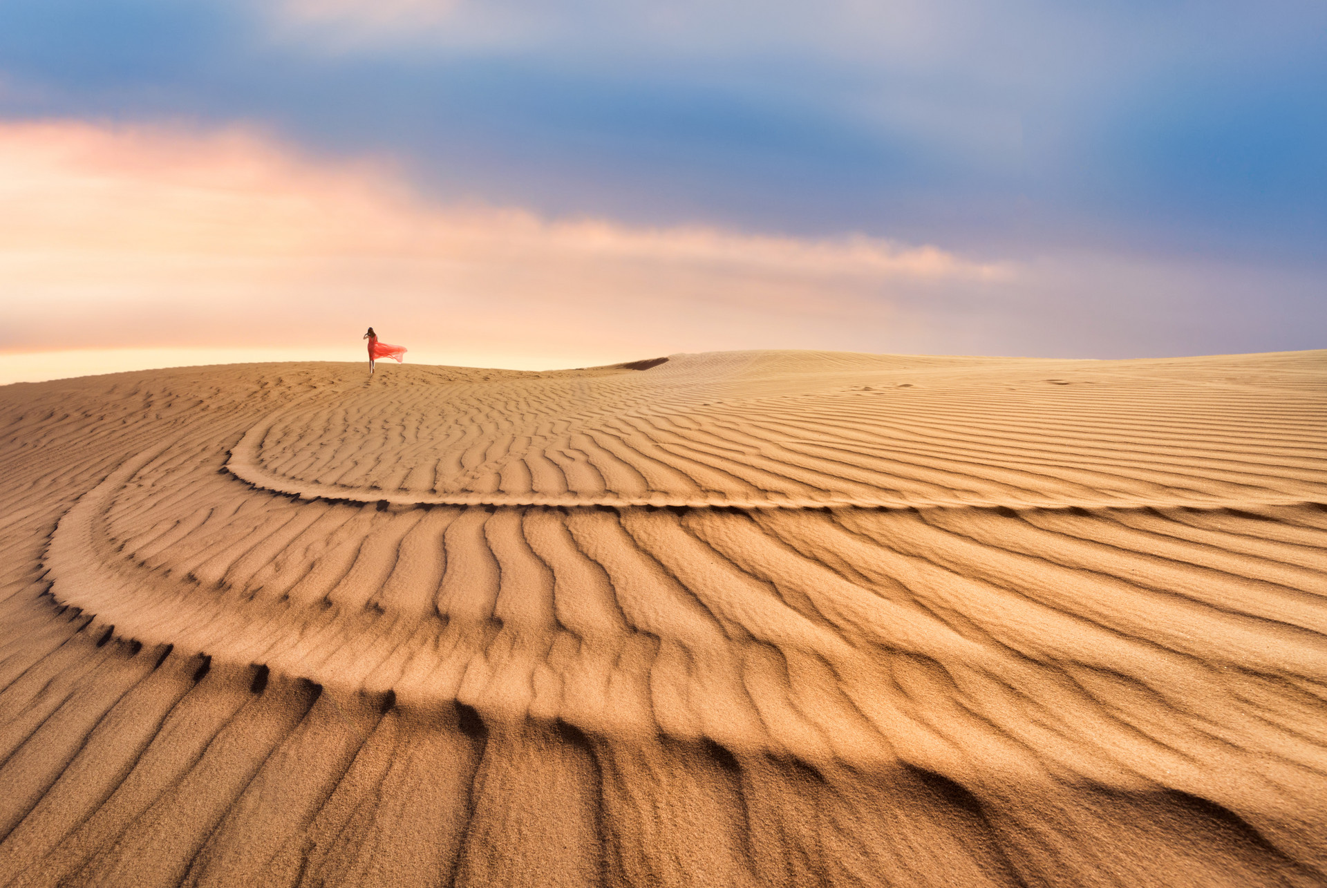 宁夏中卫沙坡头门票 电子票(含黄河区 沙漠区/可选摆渡车/沙漠狂欢