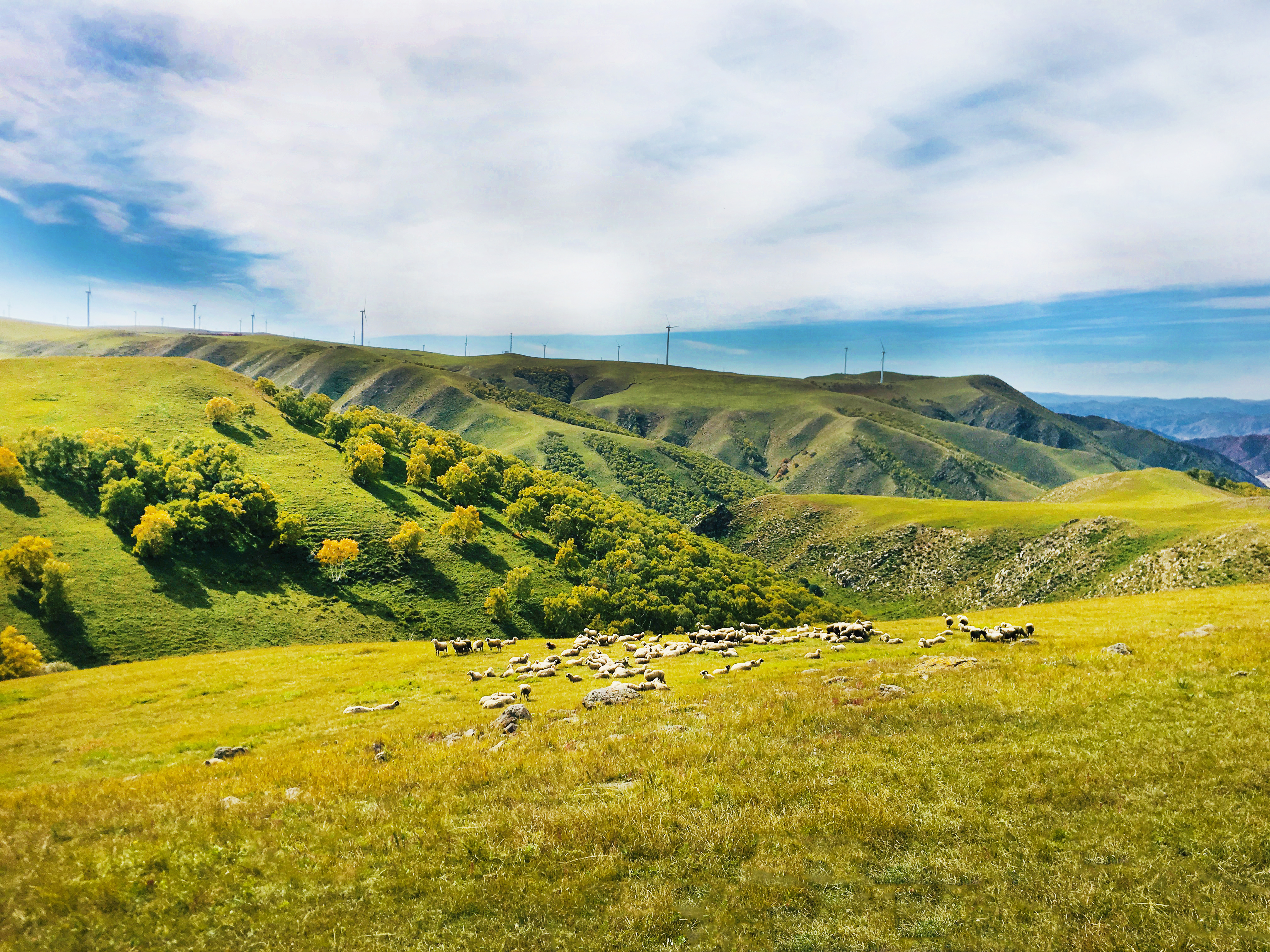 辉腾锡勒草原黄花沟地质公园门票