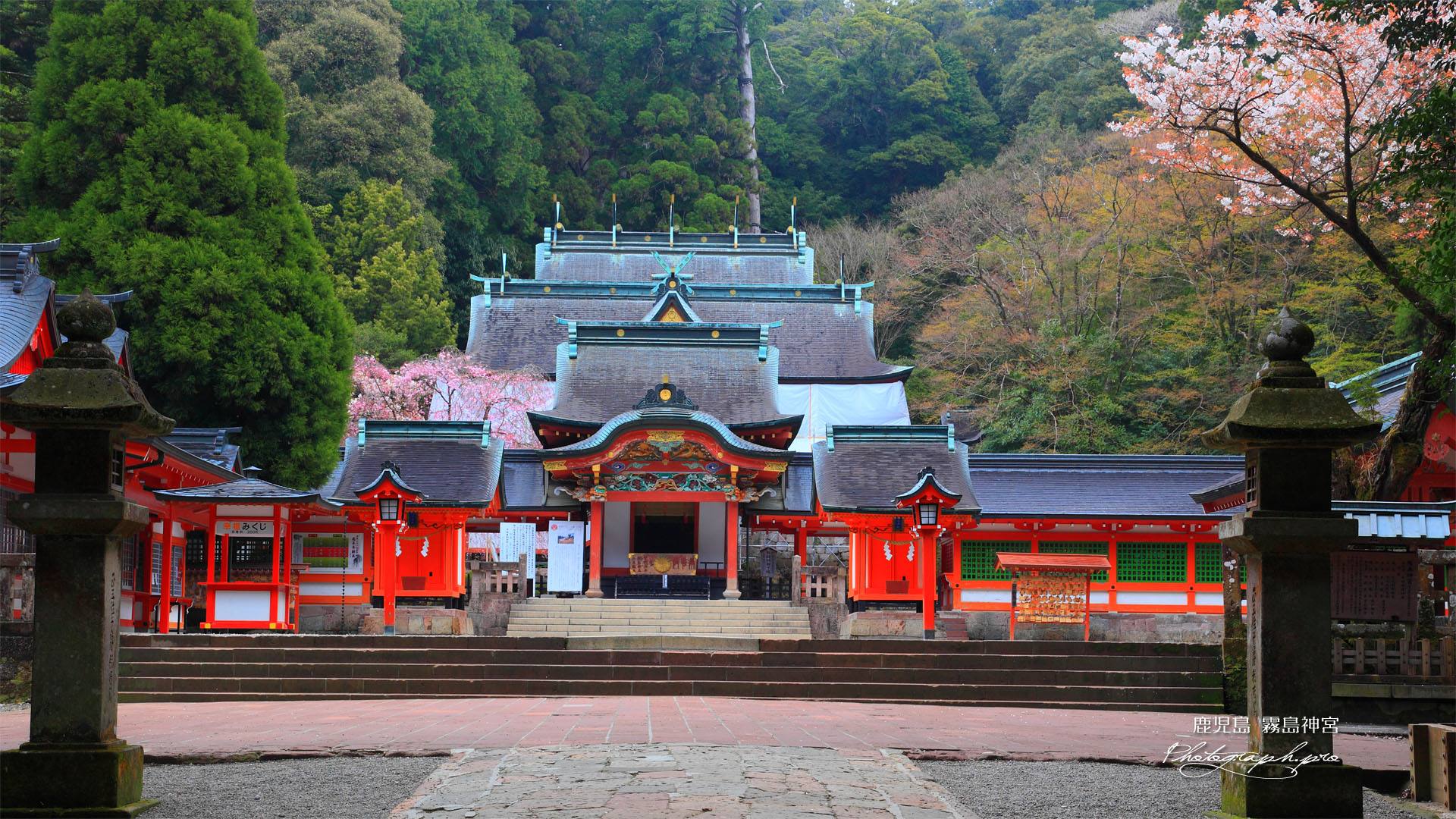 【雾岛神宫】(约30分钟)雾岛神宫位于风景优美的鹿儿岛县雾岛市内