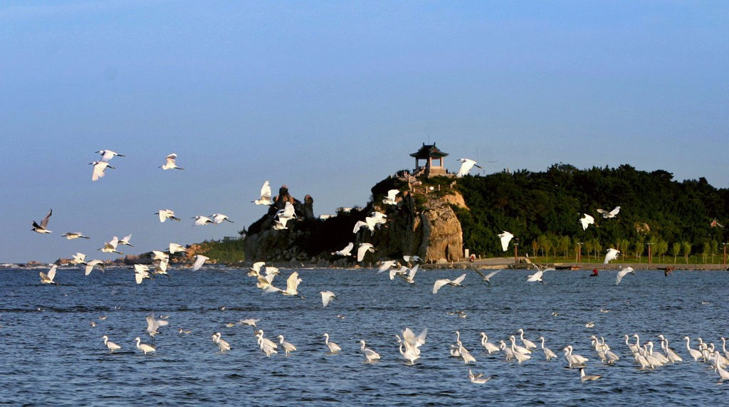 秦皇岛北戴河2日游海上日出人气海景餐厅鸽子窝浪淘沙浴场山海关古城