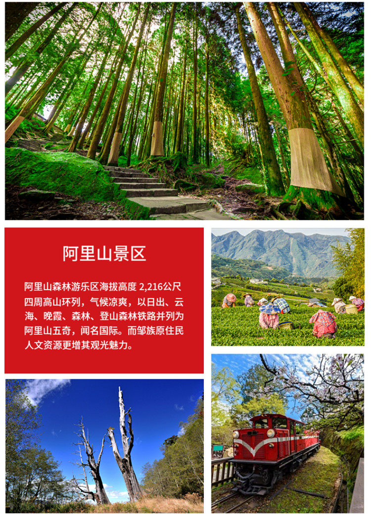 赠旅行险台中往返阿里山一日游天长地久桥奋起湖车站阿里山森林游乐园