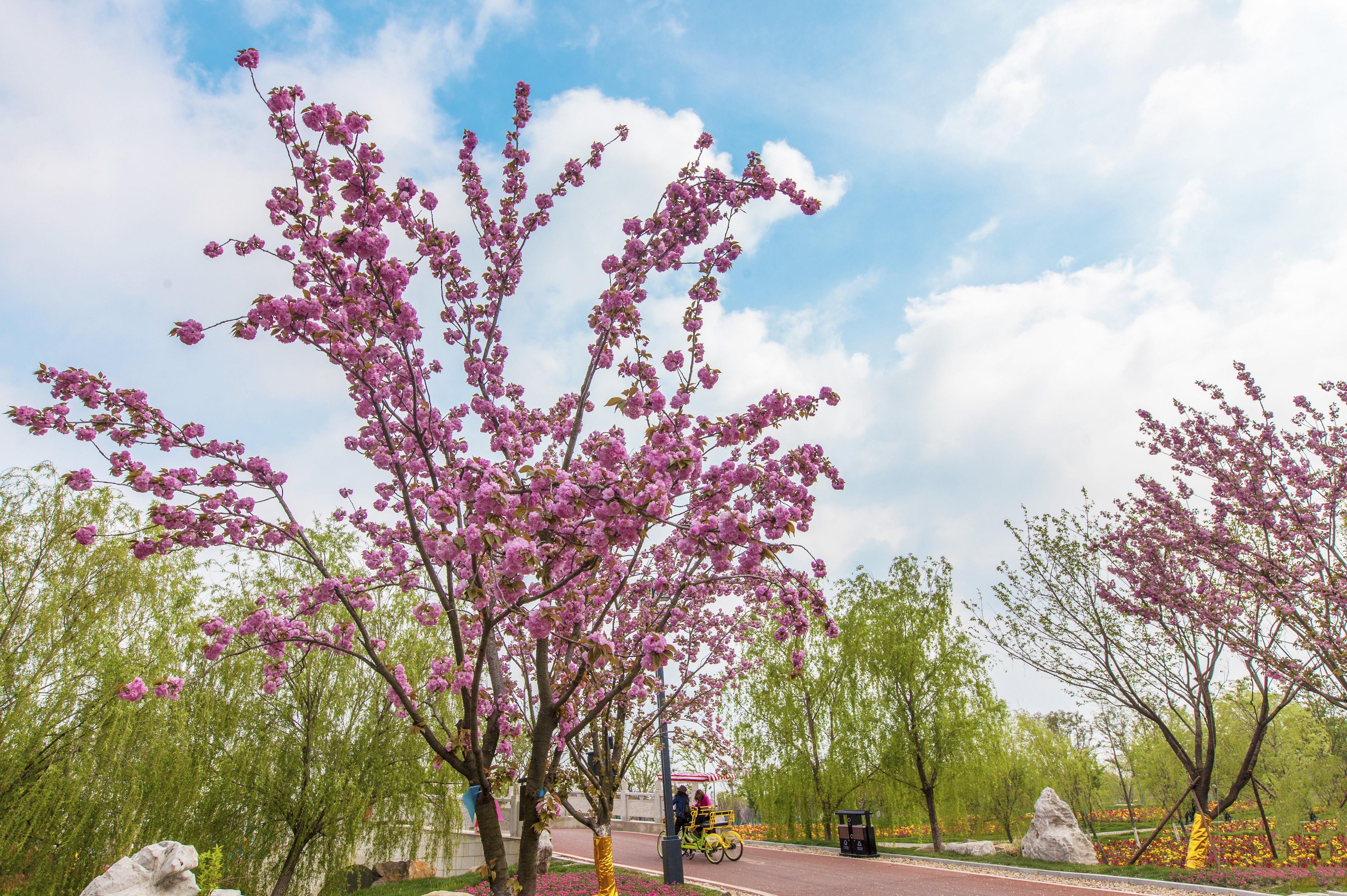 盐城大洋湾生态旅游景区电子票盐城大洋湾生态公园欢迎您刷码入园