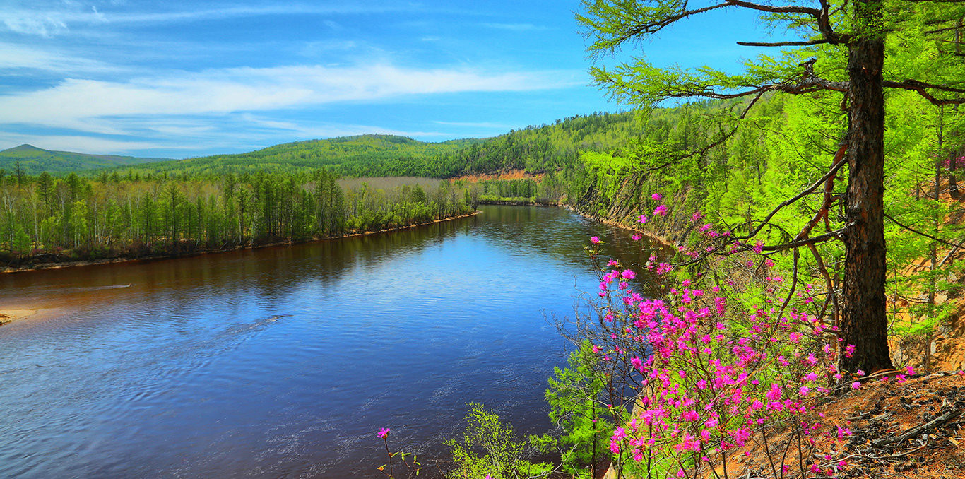 电影夜宴镜头取景地莫尔道嘎国家森林公园电子票莫尔道嘎国家森林公园