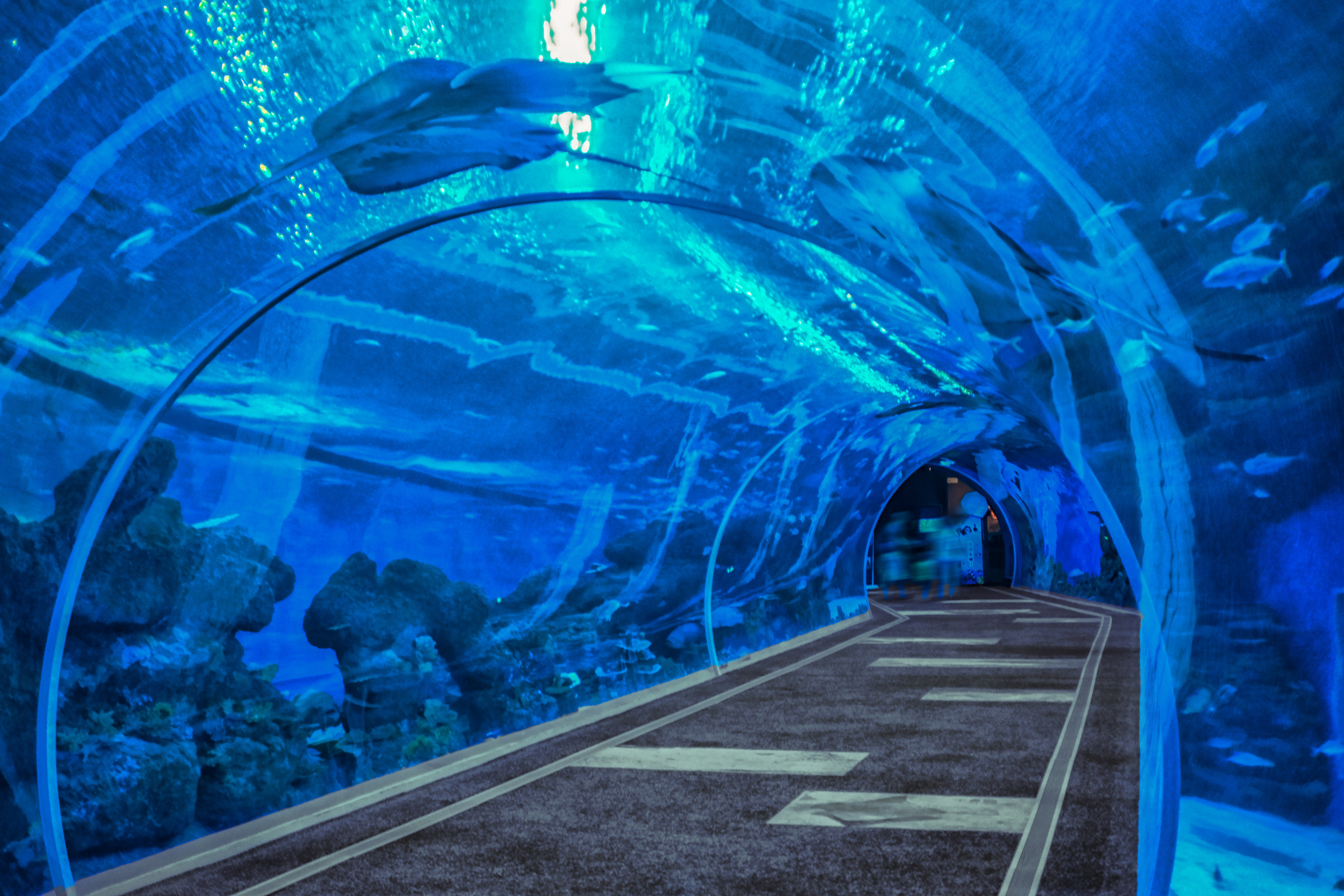 成都浩海立方海洋馆海滨城海洋馆门票