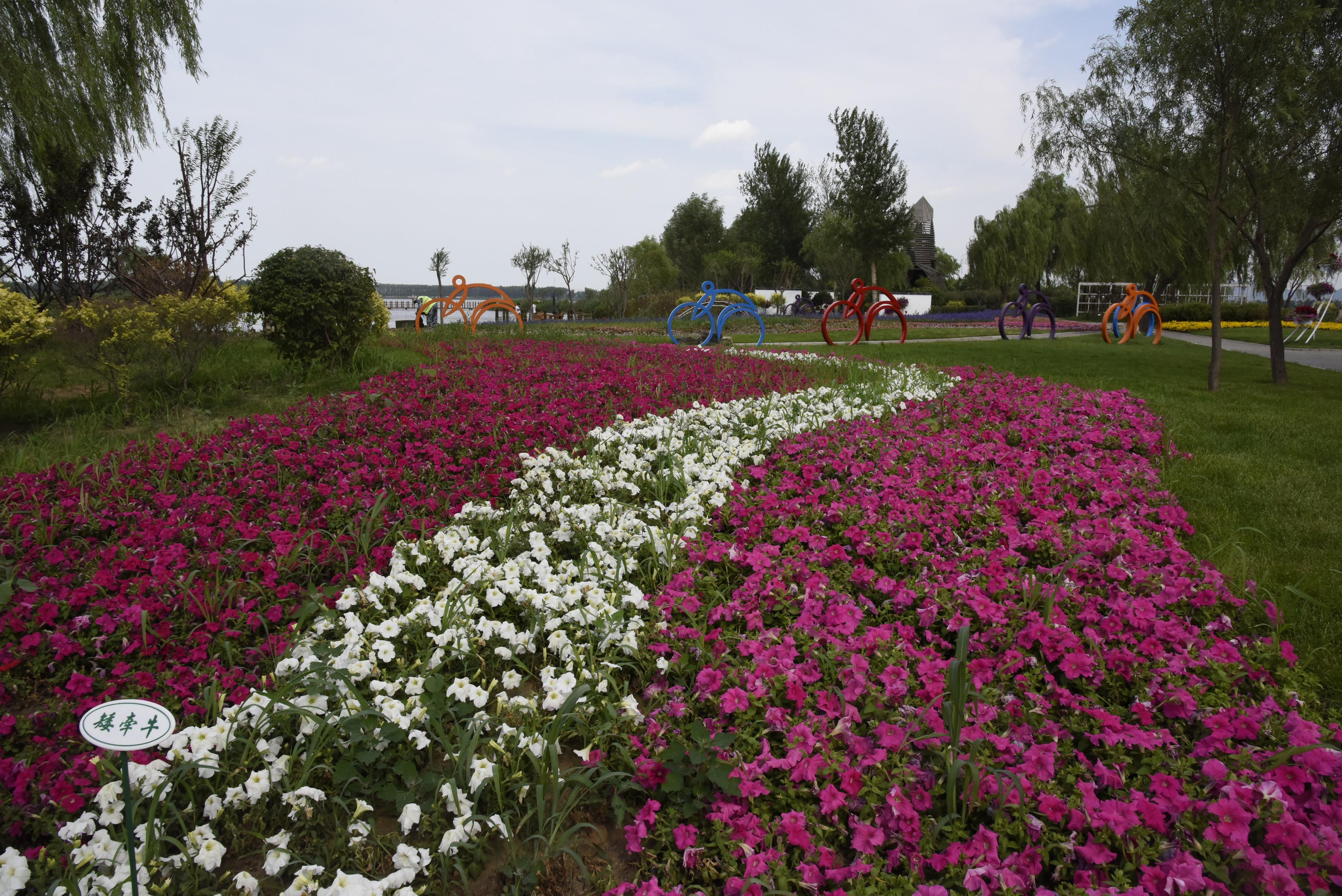 铁岭莲花湖湿地公园电子票铁岭莲花湿地公园欢迎您即买即用未用可退