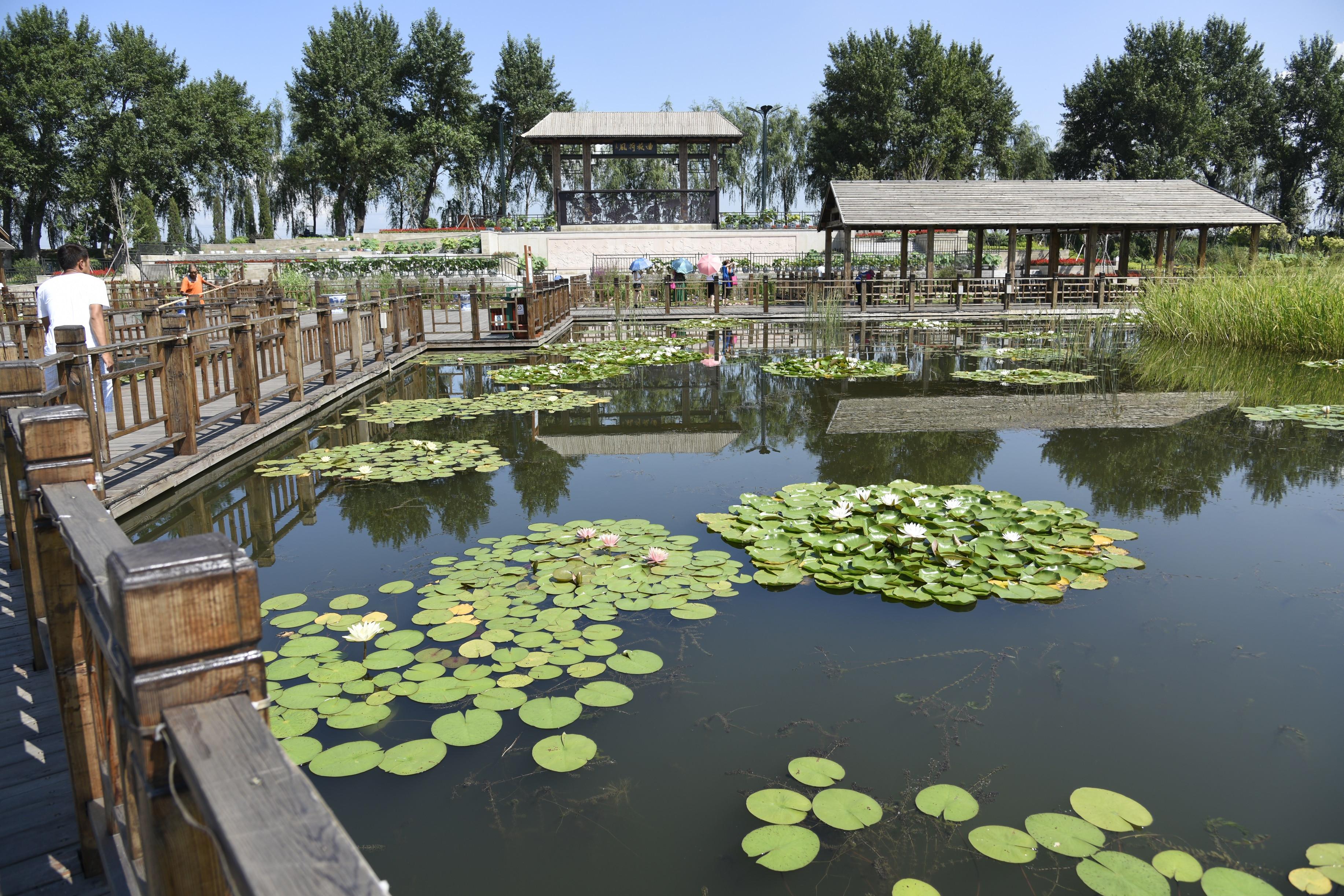 铁岭莲花湖湿地公园电子票铁岭莲花湿地公园欢迎您即买即用未用可退