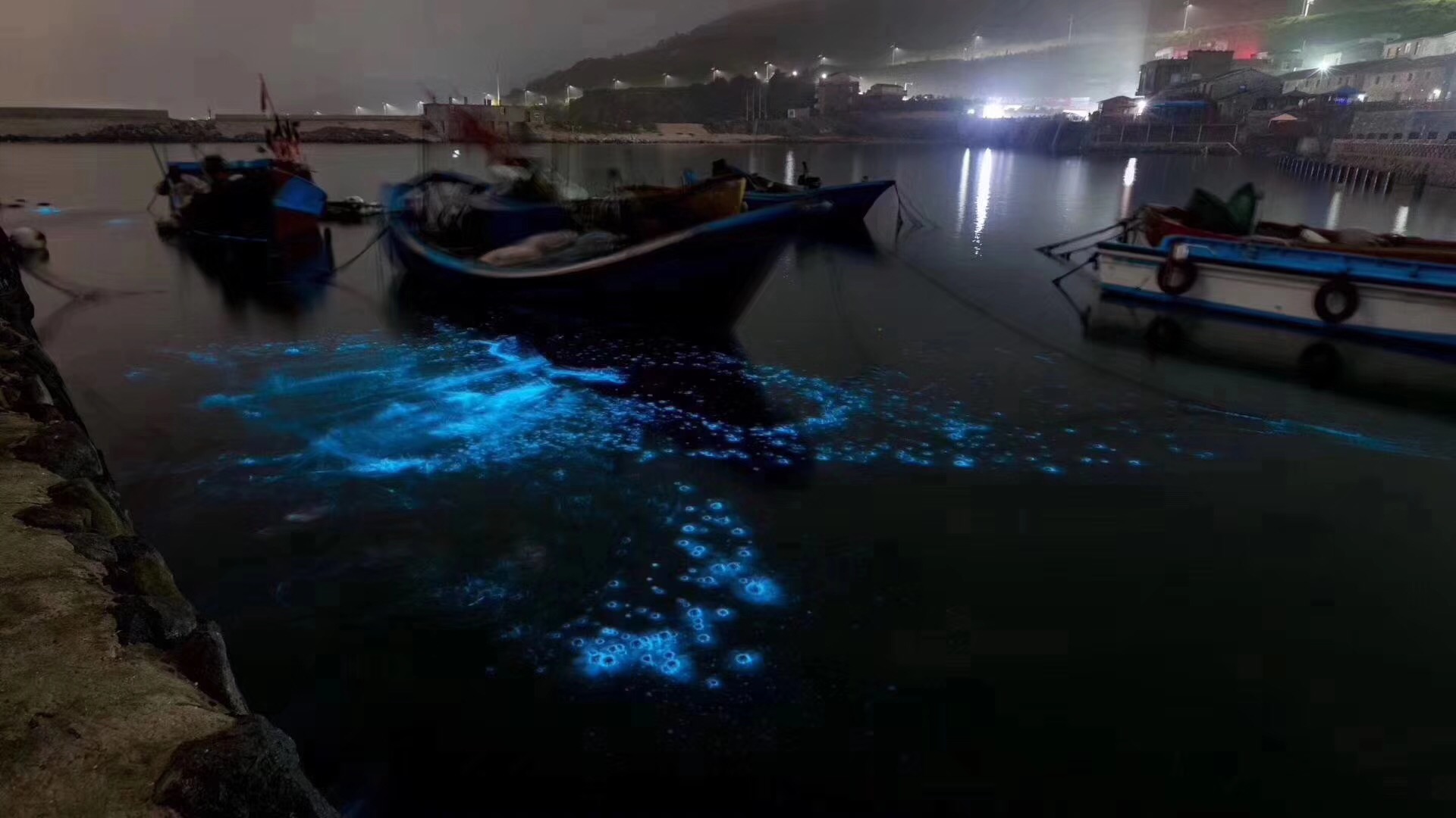 平潭蓝眼泪电动车追泪夜赏魔幻蓝眼泪