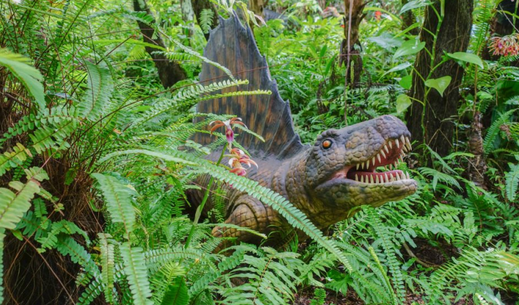 免打印日本旅游冲绳dino恐龙公园山原亚热带之森门票无需取票扫码入园