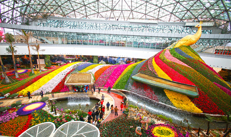 昆明花之城景区门票 电子门票