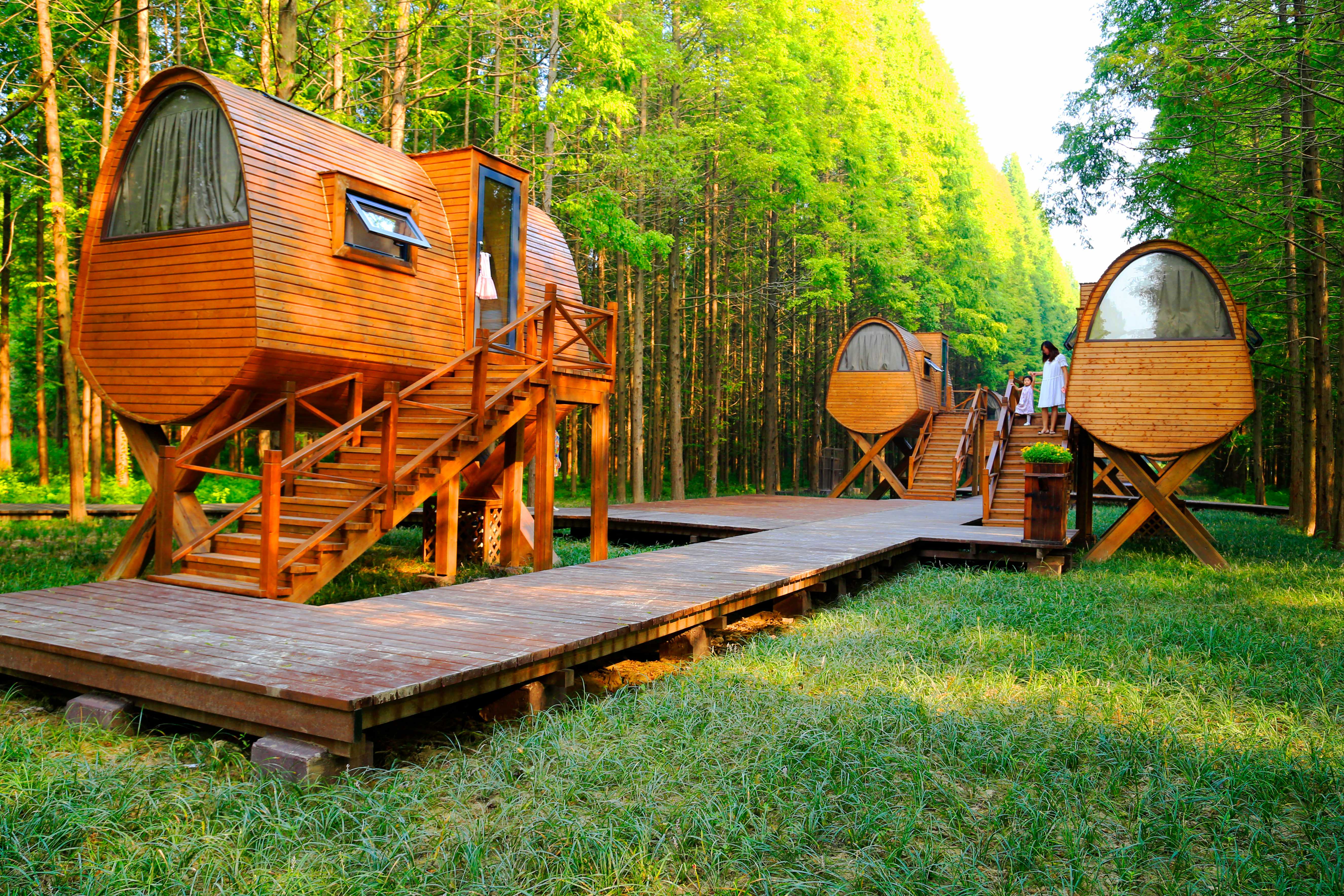 盐城东台黄海森林公园电子票东台黄海森林公园欢迎您扫码入园