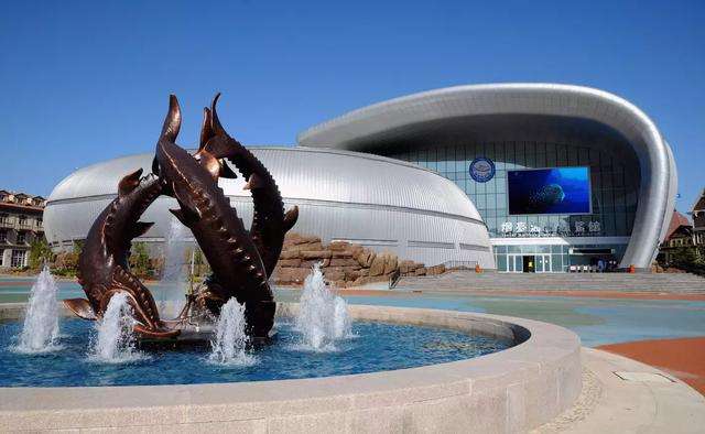 烟台海昌鲸鲨海洋公园门票