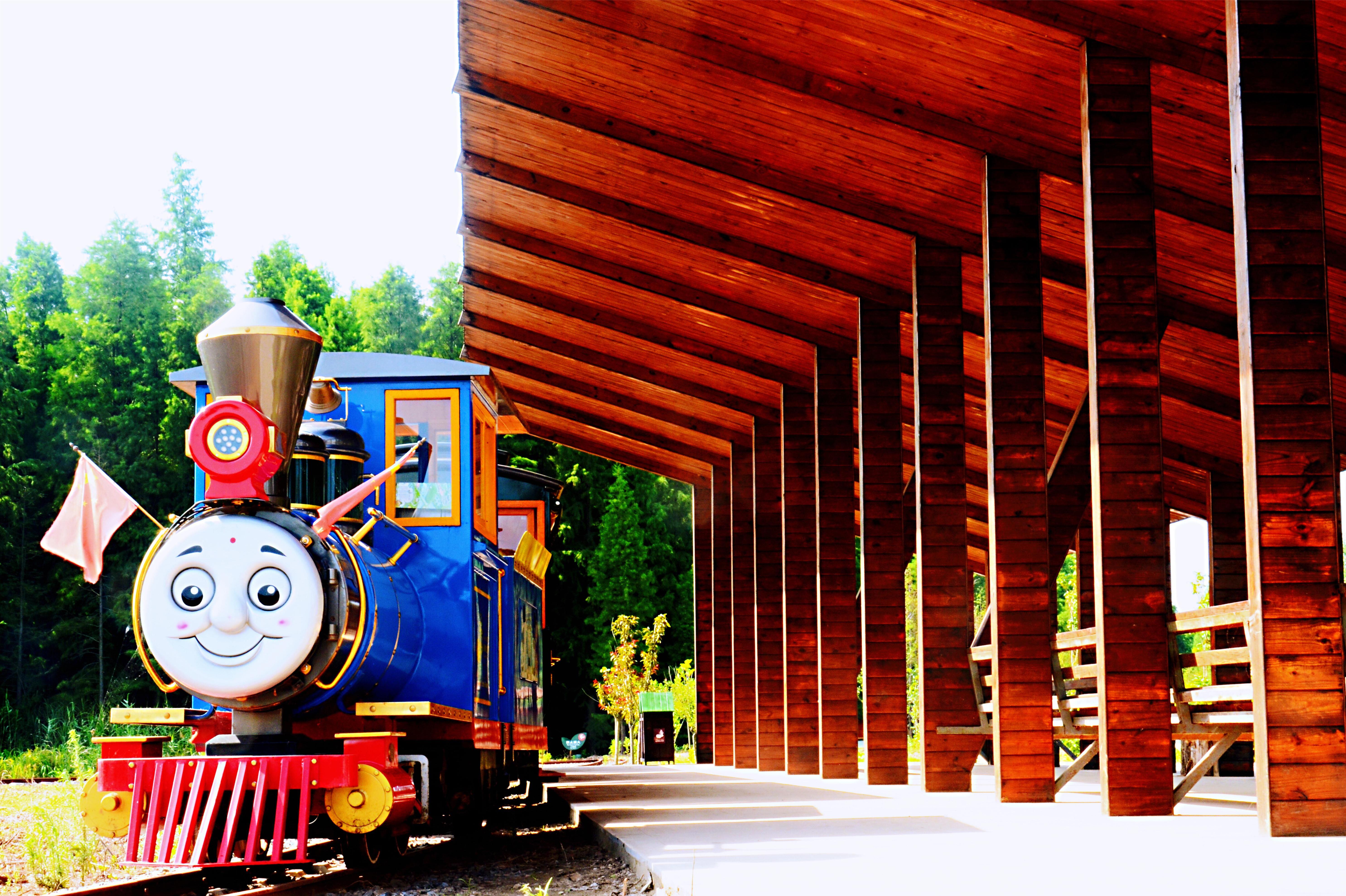 淮安金湖水上森林景区电子票