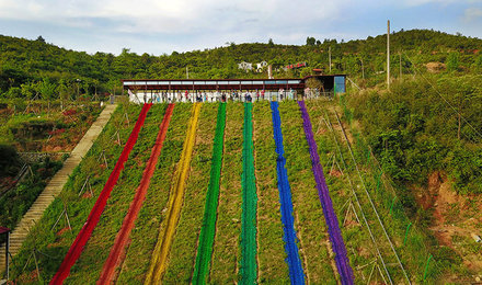 长沙到武功山金顶滑草场君澜温泉纯玩2日游长沙株洲湘潭出发纯玩无