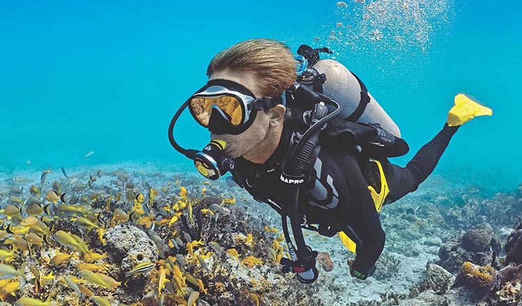 芽庄三岛黑岛蚕岛迷你岛浮潜深潜海钓一日游中文导游带客人下水潜水