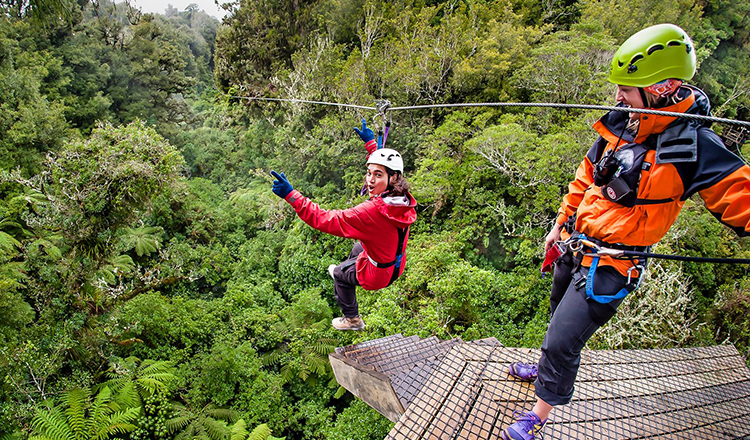滑索(经验丰富的导游 旅程长达3小时 自然纯净森林美景)原始森林滑索