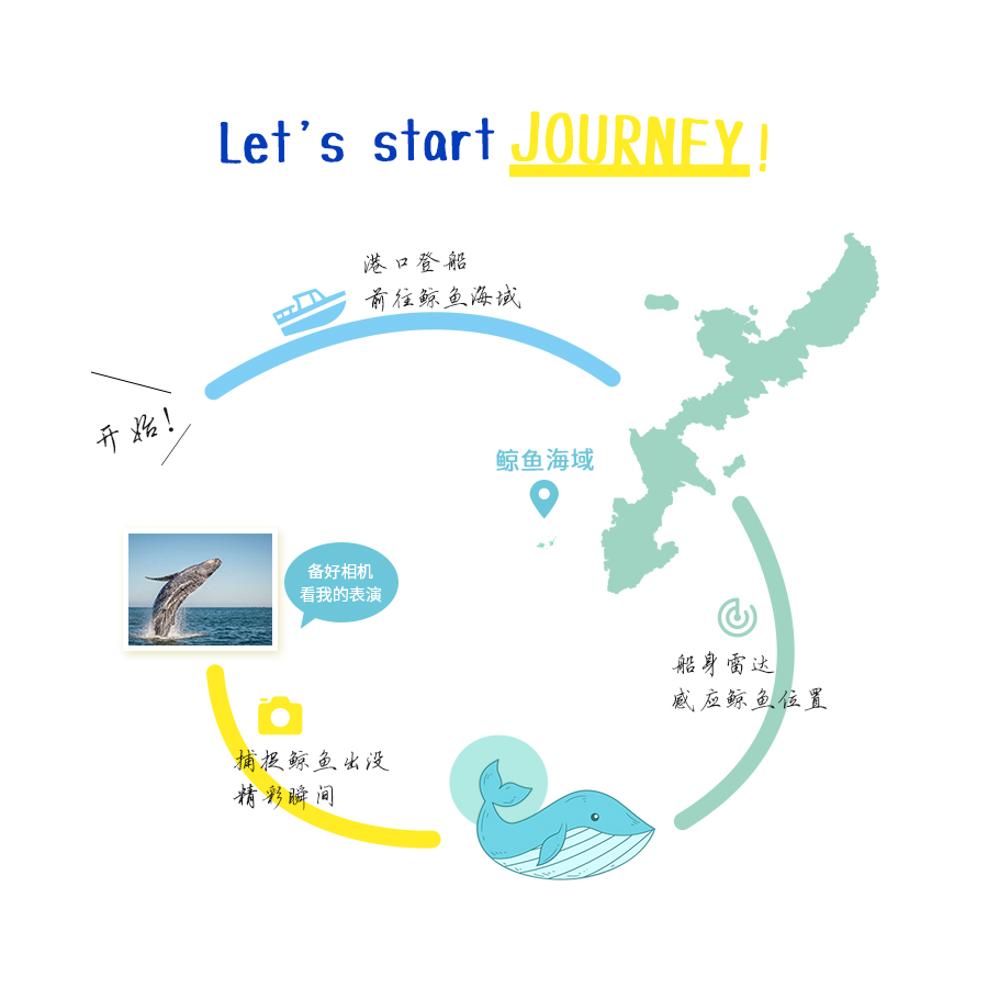 鲸鱼体验12/21-4/5(那霸市中心酒店可免费接送  那霸美国村两地港口