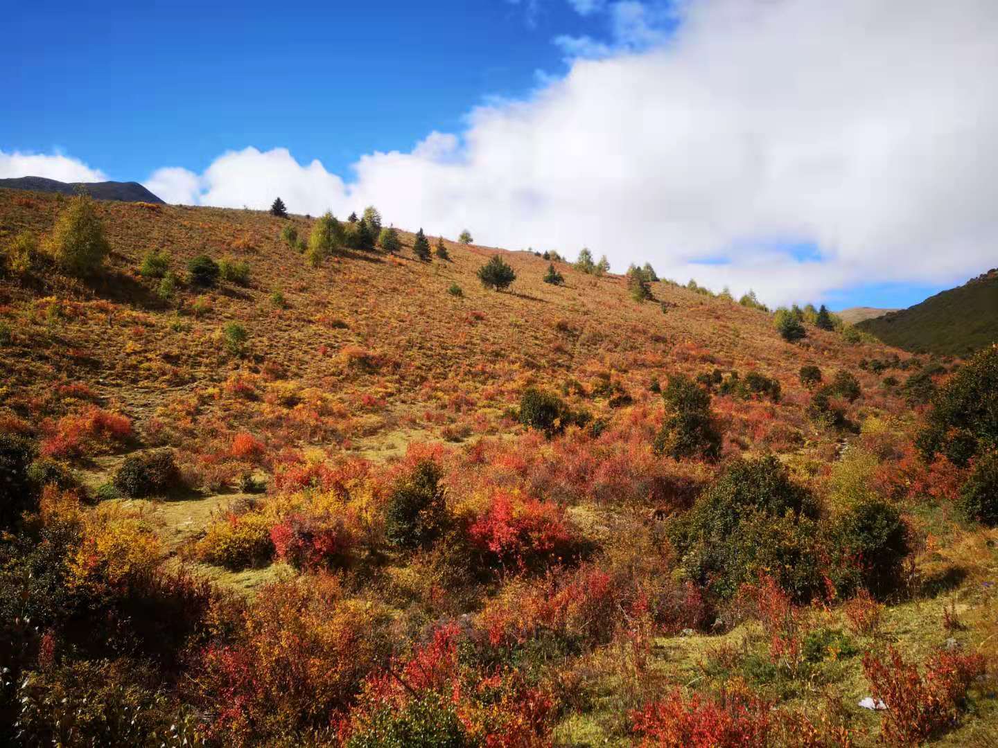 川西4日3晚拼车包车莫斯卡巴郎山四姑娘山丹巴甲居藏寨新都桥八美雅拉