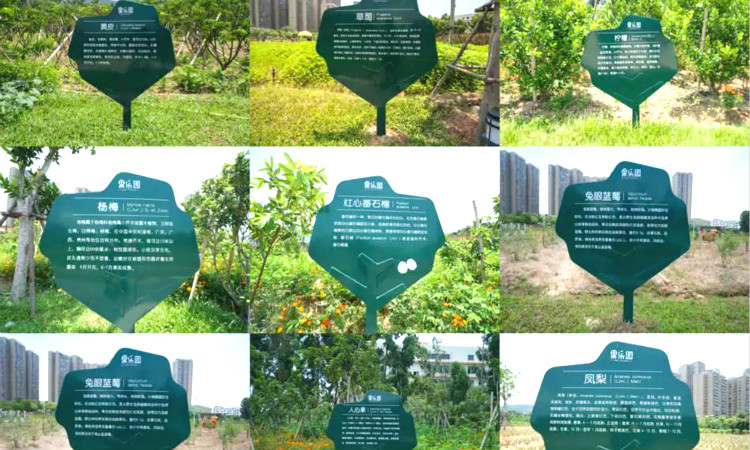 帮助小朋友更好的认识它们哦有不少水果作物科普介绍~果树形状的立牌