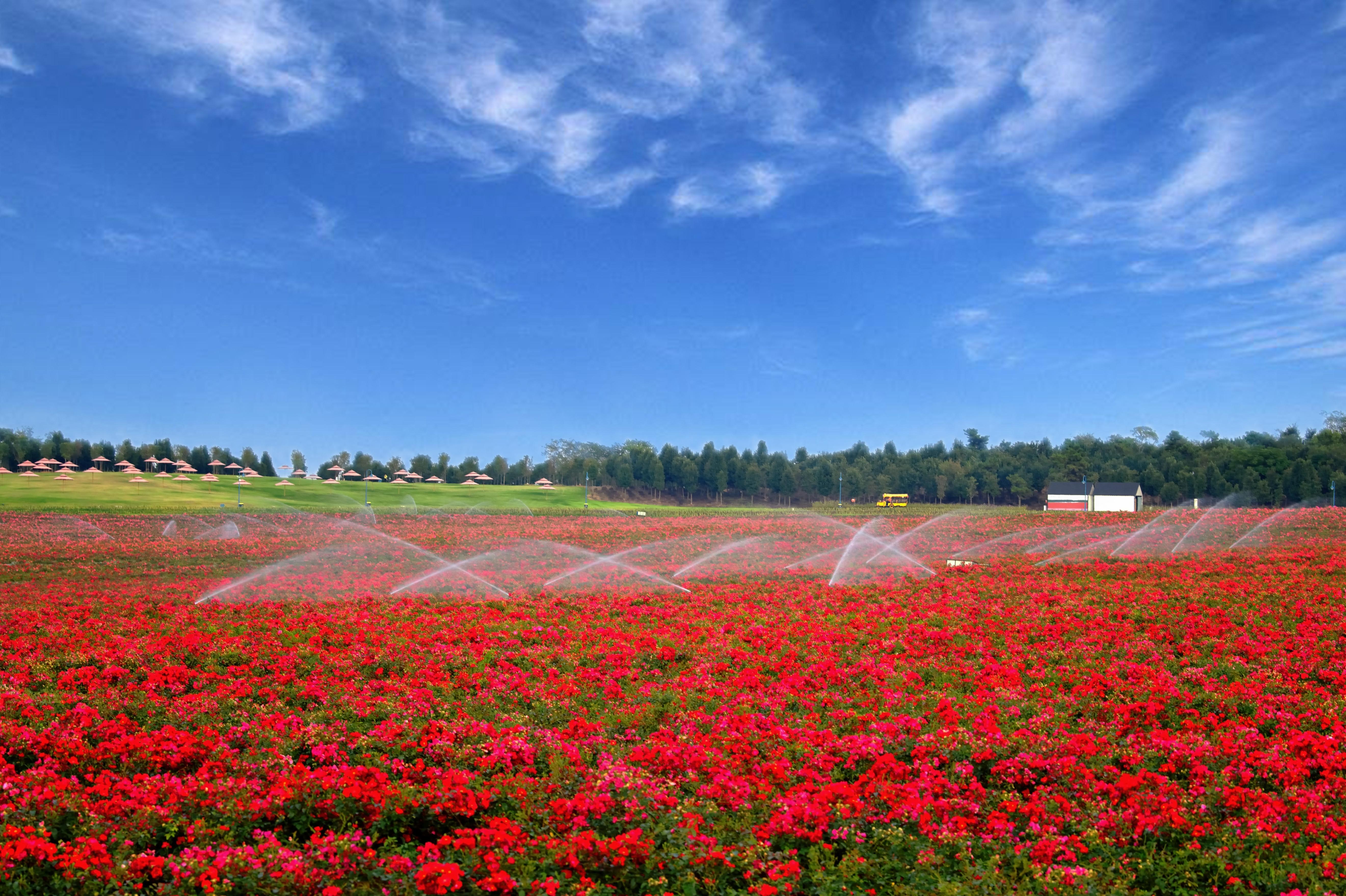 南京枫彩漫城一日电子门票