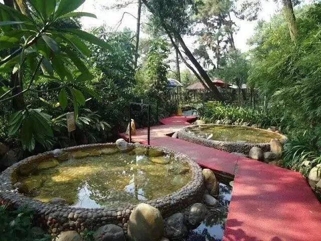 清远银盏森林露天温泉门票旧银盏温泉