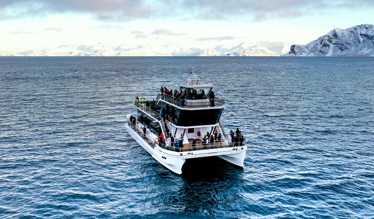 挪威特罗姆瑟出海观鲸 峡湾游览 双体船/rib快艇(超高观鲸概率/热饮