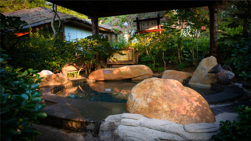 江西宜春明月山天沐温泉度假村温泉票成人票随买随用玫瑰池养颜池鱼疗