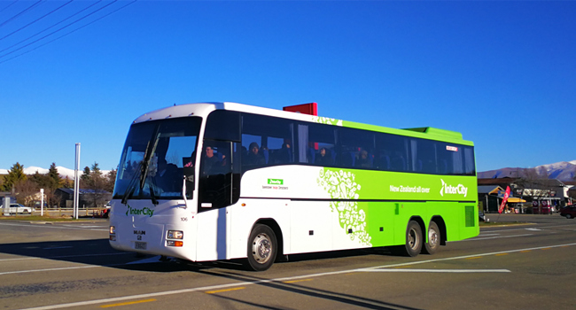 新西兰北岛 奥克兰-汤加里罗国家公园往返大巴交通