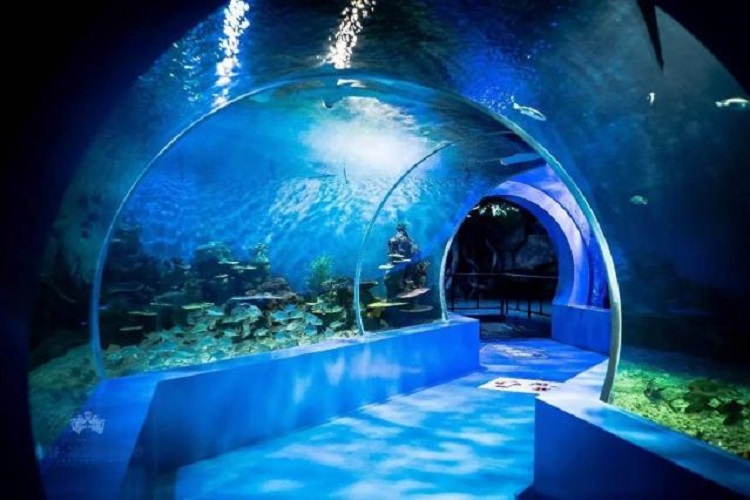 昆明融创乐园海世界一日游(八大动感娱乐项目 三大主题乐园 两大明星