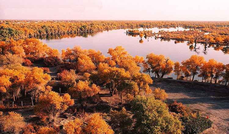 库车出发轮台塔里木胡杨林公园一日游