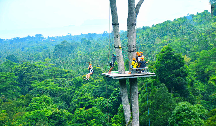 泰国苏梅岛丛林飞跃 (含接送 专业教练 饮用水时令水果)