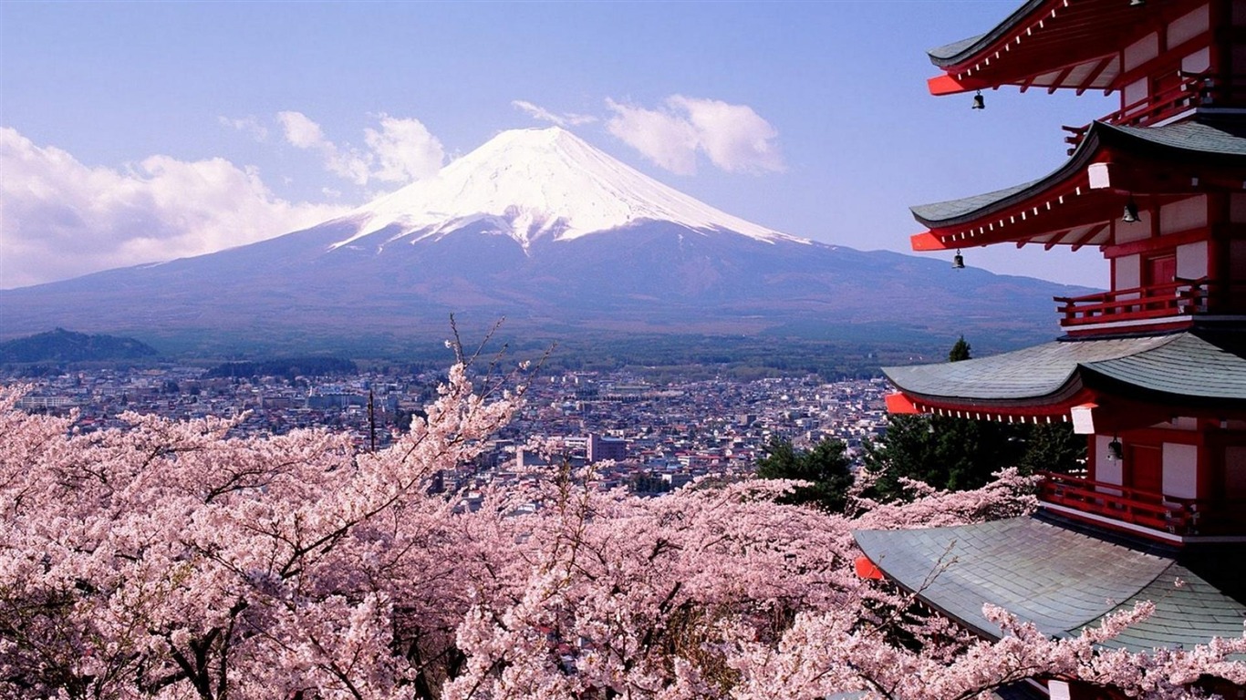 日本东京富士山箱根镰仓私人定制6晚7天关东深度游可定制专属行程