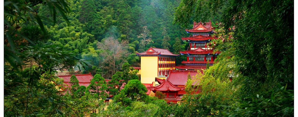 东天目山门票 景区交通票成人票