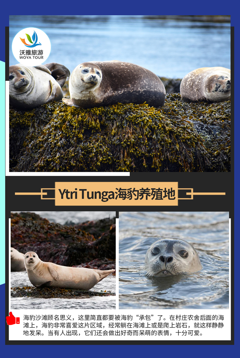 一日游中文司导arnarstapi渔村ytritunga海豹沙滩玄武岩悬崖黑教堂