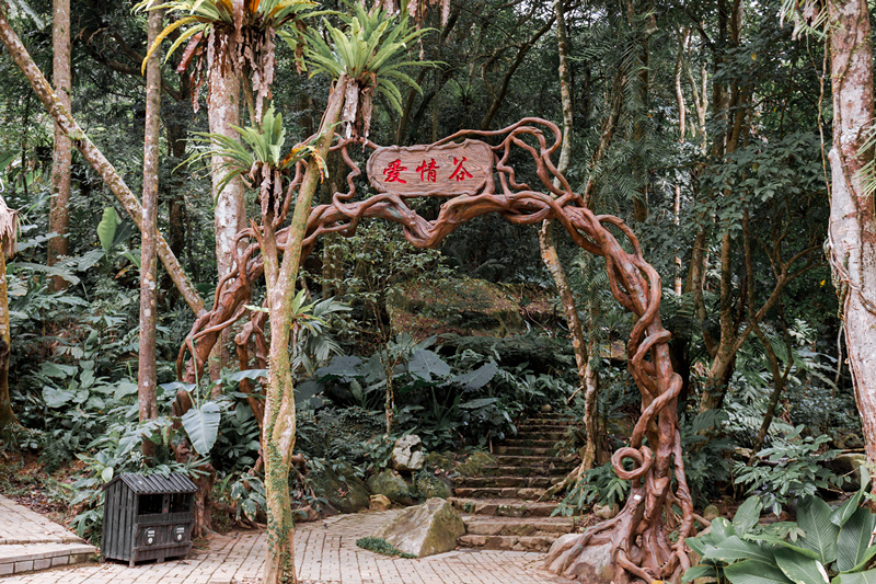 海南琼中百花岭热带雨林文化旅游区门票观赏自然雨林景观体验雨林速滑