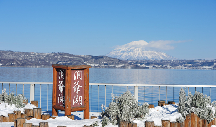 北海道一日游(洞爷湖展望台 昭和新山熊牧场 小樽雪灯路 登别地狱谷),